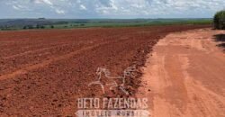 Fazenda à Venda 804 Alqueires com Arrendamento em Cana de Açúcar | Gavião Peixoto/ SP