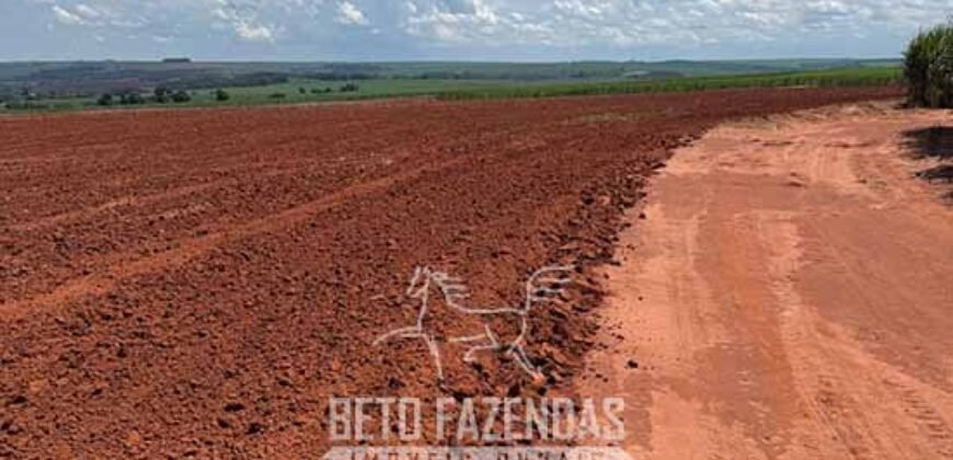 Fazenda à Venda 804 Alqueires com Arrendamento em Cana de Açúcar | Gavião Peixoto/ SP
