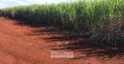 Fazenda à Venda 804 Alqueires com Arrendamento em Cana de Açúcar | Gavião Peixoto/ SP