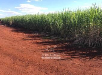 Fazenda à Venda 804 Alqueires com Arrendamento em Cana de Açúcar | Gavião Peixoto/ SP Fazenda à Venda 804 Alqueires com Arrendamento em Cana de Açúcar | Gavião Peixoto/ SP