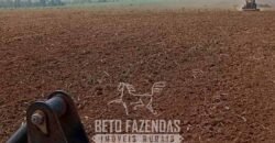 Fazenda à Venda 2.100 Alqueires Estrutura Completa em Pecuária | São Geraldo do Araguaia/PA