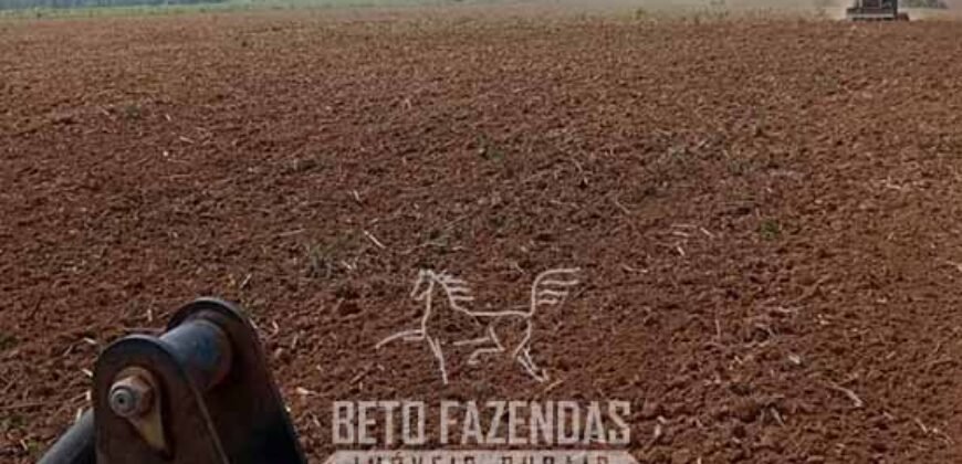 Fazenda à Venda 2.100 Alqueires Estrutura Completa em Pecuária | São Geraldo do Araguaia/PA