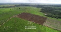 Fazenda à Venda 2.100 Alqueires Estrutura Completa em Pecuária | São Geraldo do Araguaia/PA