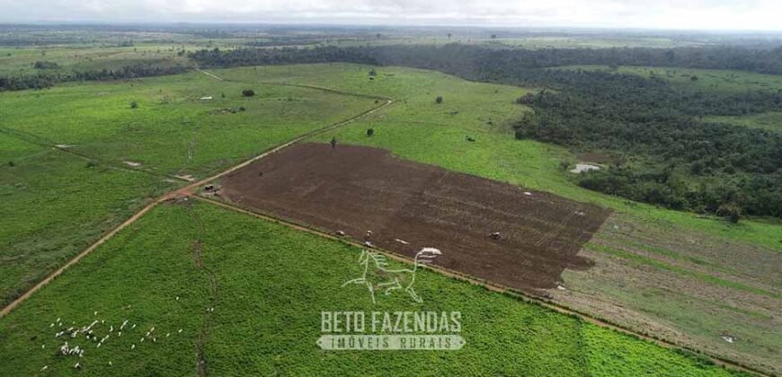 Fazenda à Venda 2.100 Alqueires Estrutura Completa em Pecuária | São Geraldo do Araguaia/PA