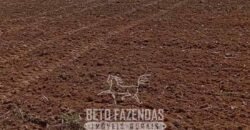 Fazenda à Venda 2.100 Alqueires Estrutura Completa em Pecuária | São Geraldo do Araguaia/PA