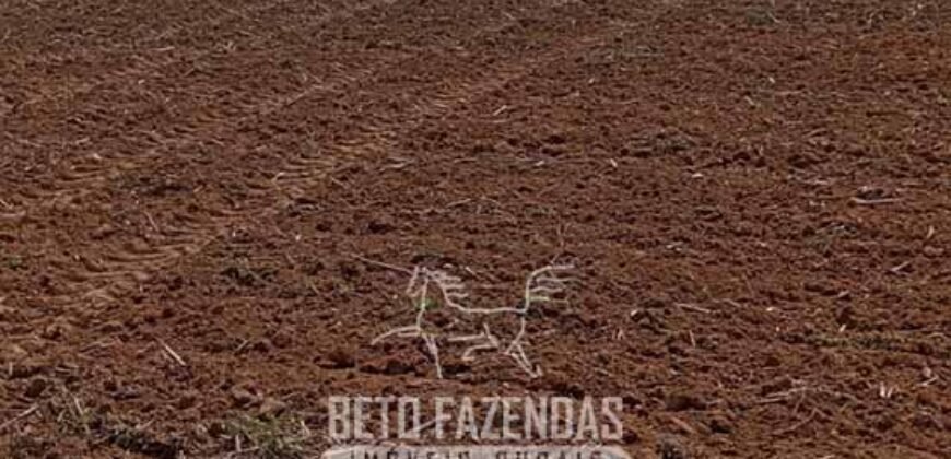 Fazenda à Venda 2.100 Alqueires Estrutura Completa em Pecuária | São Geraldo do Araguaia/PA