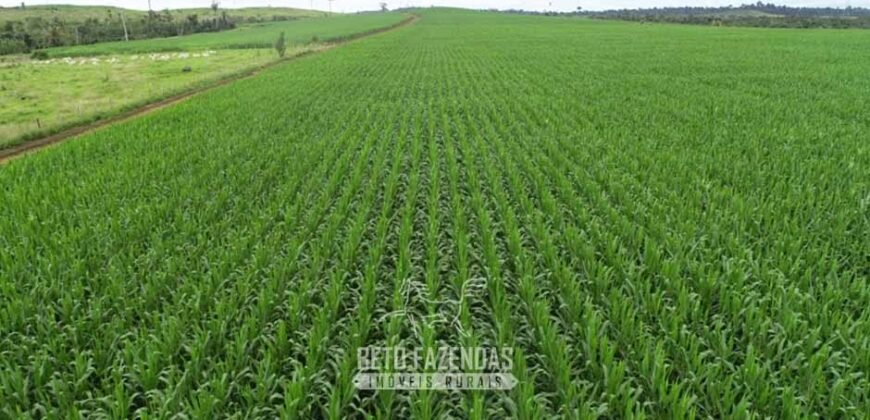 Fazenda à Venda 2.100 Alqueires Estrutura Completa em Pecuária | São Geraldo do Araguaia/PA