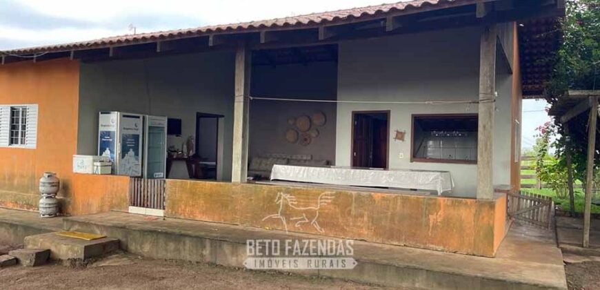 Fazenda à Venda 2.100 Alqueires Estrutura Completa em Pecuária | São Geraldo do Araguaia/PA