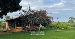 Fazenda à Venda 2.100 Alqueires Estrutura Completa em Pecuária | São Geraldo do Araguaia/PA