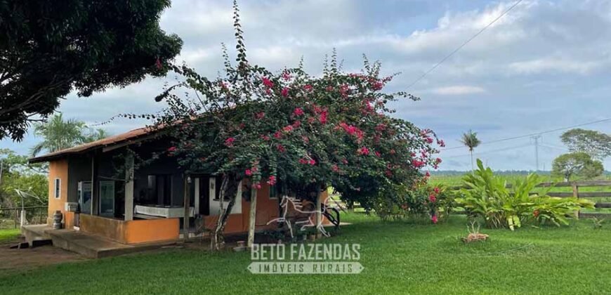 Fazenda à Venda 2.100 Alqueires Estrutura Completa em Pecuária | São Geraldo do Araguaia/PA