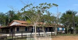 Fazenda à Venda 2.100 Alqueires Estrutura Completa em Pecuária | São Geraldo do Araguaia/PA