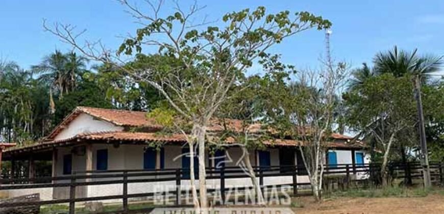 Fazenda à Venda 2.100 Alqueires Estrutura Completa em Pecuária | São Geraldo do Araguaia/PA