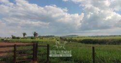 Fazenda à Venda 2.100 Alqueires Estrutura Completa em Pecuária | São Geraldo do Araguaia/PA