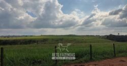 Fazenda à Venda 2.100 Alqueires Estrutura Completa em Pecuária | São Geraldo do Araguaia/PA