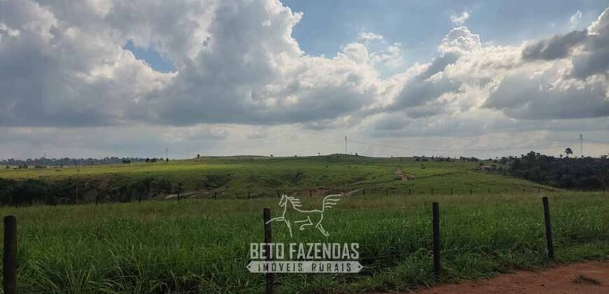 Fazenda à Venda 2.100 Alqueires Estrutura Completa em Pecuária | São Geraldo do Araguaia/PA