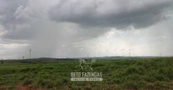 Fazenda à Venda 2.100 Alqueires Estrutura Completa em Pecuária | São Geraldo do Araguaia/PA
