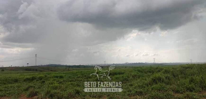 Fazenda à Venda 2.100 Alqueires Estrutura Completa em Pecuária | São Geraldo do Araguaia/PA