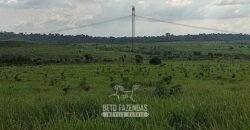 Fazenda à Venda 2.100 Alqueires Estrutura Completa em Pecuária | São Geraldo do Araguaia/PA