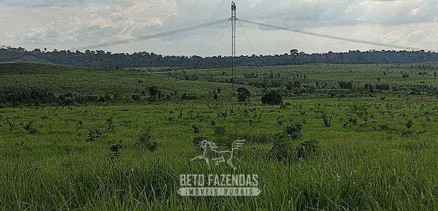 Fazenda à Venda 2.100 Alqueires Estrutura Completa em Pecuária | São Geraldo do Araguaia/PA