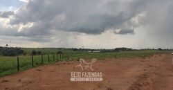 Fazenda à Venda 2.100 Alqueires Estrutura Completa em Pecuária | São Geraldo do Araguaia/PA