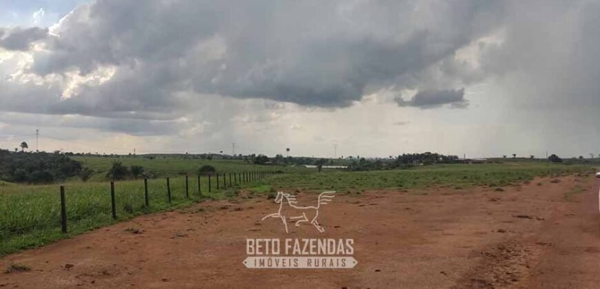 Fazenda à Venda 2.100 Alqueires Estrutura Completa em Pecuária | São Geraldo do Araguaia/PA