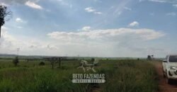 Fazenda à Venda 2.100 Alqueires Estrutura Completa em Pecuária | São Geraldo do Araguaia/PA