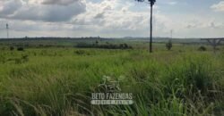 Fazenda à Venda 2.100 Alqueires Estrutura Completa em Pecuária | São Geraldo do Araguaia/PA