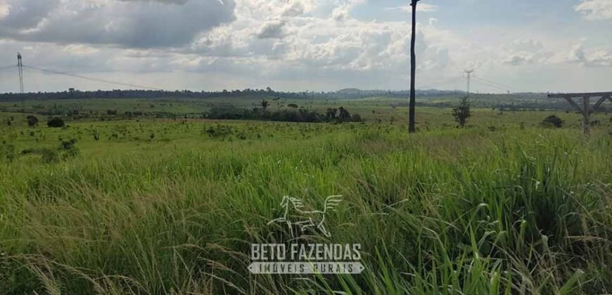 Fazenda à Venda 2.100 Alqueires Estrutura Completa em Pecuária | São Geraldo do Araguaia/PA