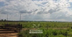 Fazenda à Venda 2.100 Alqueires Estrutura Completa em Pecuária | São Geraldo do Araguaia/PA