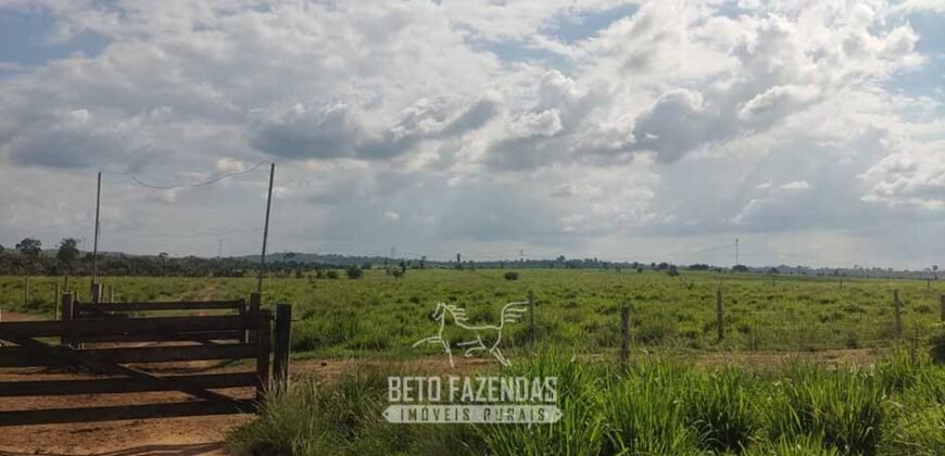 Fazenda à Venda 2.100 Alqueires Estrutura Completa em Pecuária | São Geraldo do Araguaia/PA