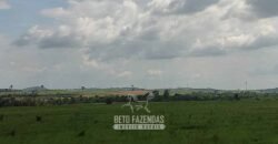 Fazenda à Venda 2.100 Alqueires Estrutura Completa em Pecuária | São Geraldo do Araguaia/PA