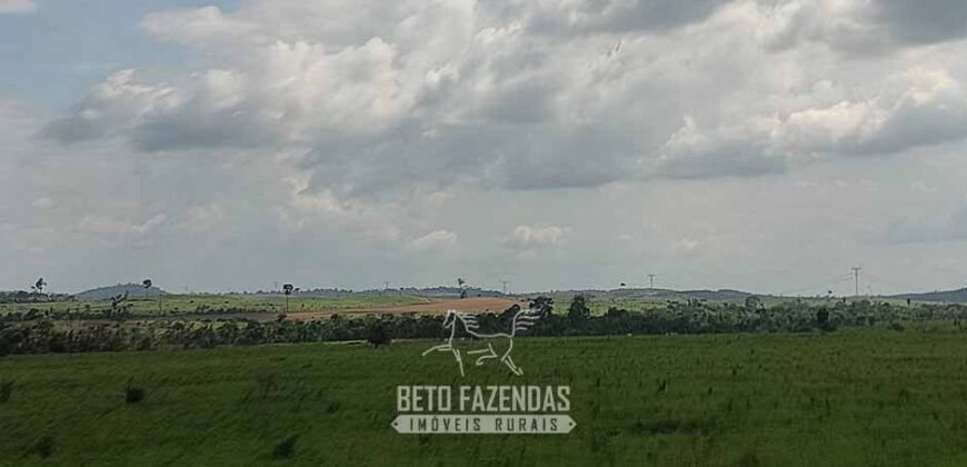 Fazenda à Venda 2.100 Alqueires Estrutura Completa em Pecuária | São Geraldo do Araguaia/PA