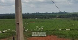 Fazenda à Venda 2.100 Alqueires Estrutura Completa em Pecuária | São Geraldo do Araguaia/PA