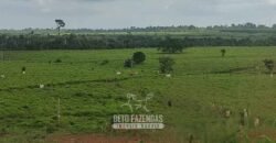 Fazenda à Venda 2.100 Alqueires Estrutura Completa em Pecuária | São Geraldo do Araguaia/PA