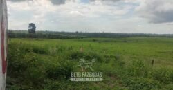 Fazenda à Venda 2.100 Alqueires Estrutura Completa em Pecuária | São Geraldo do Araguaia/PA