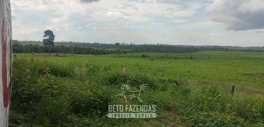 Fazenda à Venda 2.100 Alqueires Estrutura Completa em Pecuária | São Geraldo do Araguaia/PA