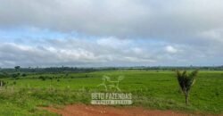 Fazenda à Venda 2.100 Alqueires Estrutura Completa em Pecuária | São Geraldo do Araguaia/PA