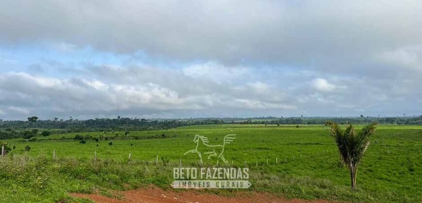 Fazenda à Venda 2.100 Alqueires Estrutura Completa em Pecuária | São Geraldo do Araguaia/PA