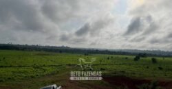 Fazenda à Venda 2.100 Alqueires Estrutura Completa em Pecuária | São Geraldo do Araguaia/PA