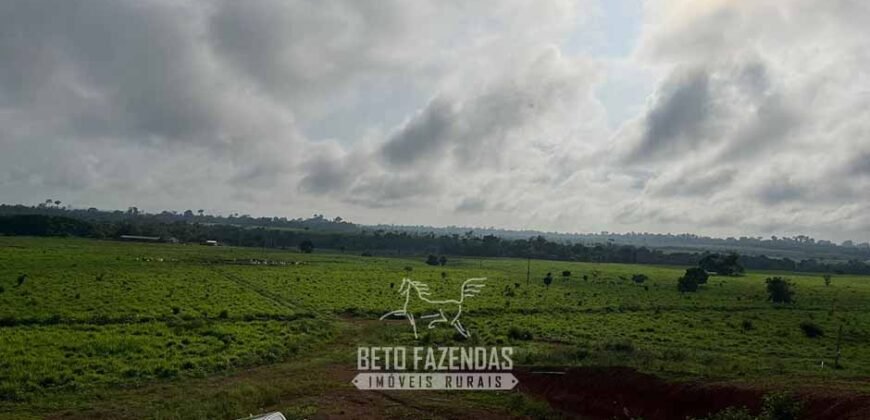 Fazenda à Venda 2.100 Alqueires Estrutura Completa em Pecuária | São Geraldo do Araguaia/PA