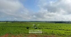 Fazenda à Venda 2.100 Alqueires Estrutura Completa em Pecuária | São Geraldo do Araguaia/PA