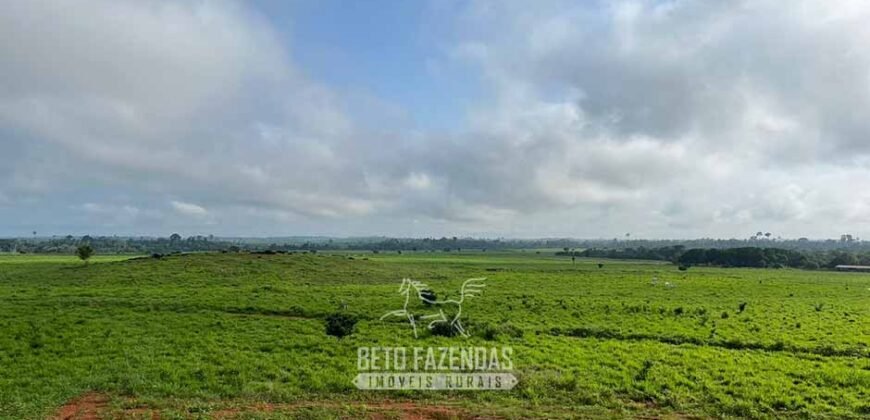 Fazenda à Venda 2.100 Alqueires Estrutura Completa em Pecuária | São Geraldo do Araguaia/PA