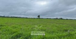 Fazenda à Venda 2.100 Alqueires Estrutura Completa em Pecuária | São Geraldo do Araguaia/PA