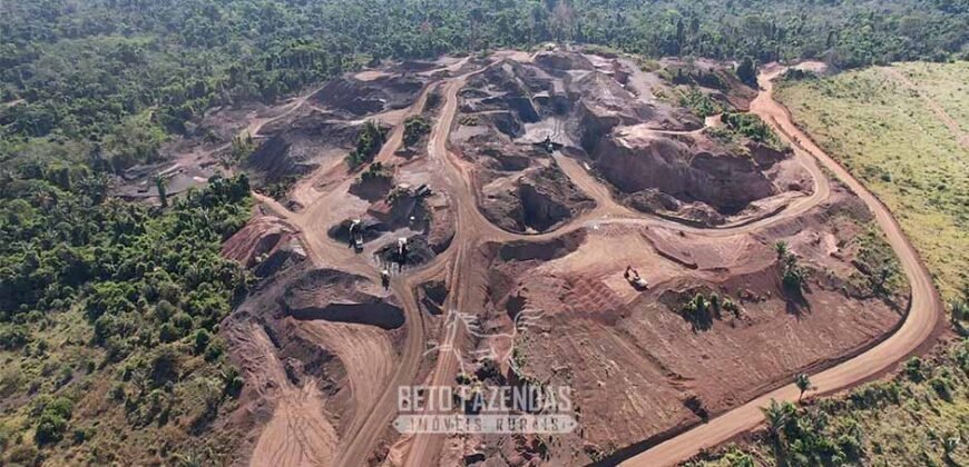 Fazenda à Venda 2.100 Alqueires Estrutura Completa em Pecuária | São Geraldo do Araguaia/PA