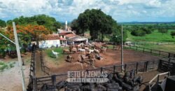 Fazenda à Venda 2.100 Hectares Dupla Aptidão com Pista de Pouso | Santana do Araguaia/ PA