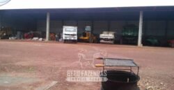 Fazenda à Venda 2.100 Hectares Dupla Aptidão com Pista de Pouso | Santana do Araguaia/ PA