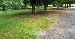 Fazenda à Venda 2.100 Hectares Dupla Aptidão com Pista de Pouso | Santana do Araguaia/ PA