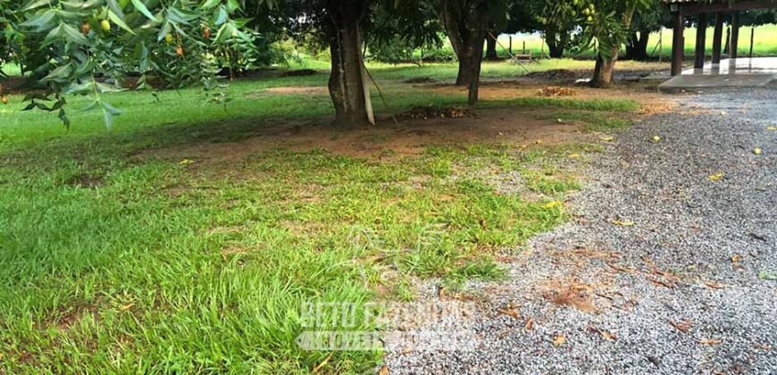 Fazenda à Venda 2.100 Hectares Dupla Aptidão com Pista de Pouso | Santana do Araguaia/ PA