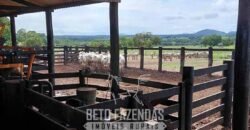 Fazenda à Venda 2.100 Hectares Dupla Aptidão com Pista de Pouso | Santana do Araguaia/ PA