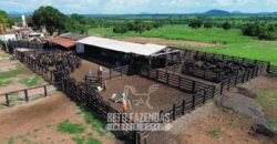 Fazenda à Venda 2.100 Hectares Dupla Aptidão com Pista de Pouso | Santana do Araguaia/ PA
